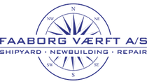 fV logo